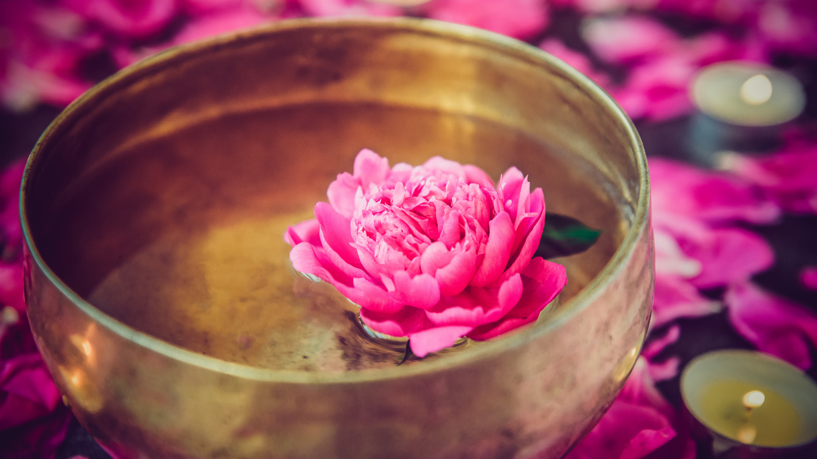 Tibetan singing bowl with floating water lily inside used in the study of the Chakras and Mudras