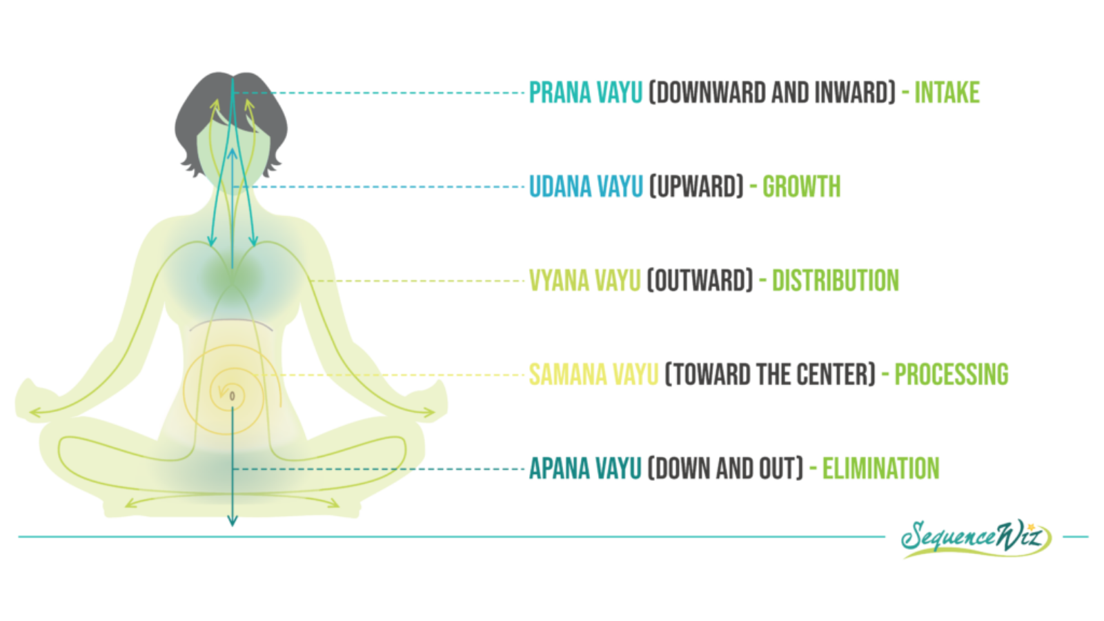 Understanding the Flow of Prana (Life-Force Energy) • Yoga Basics