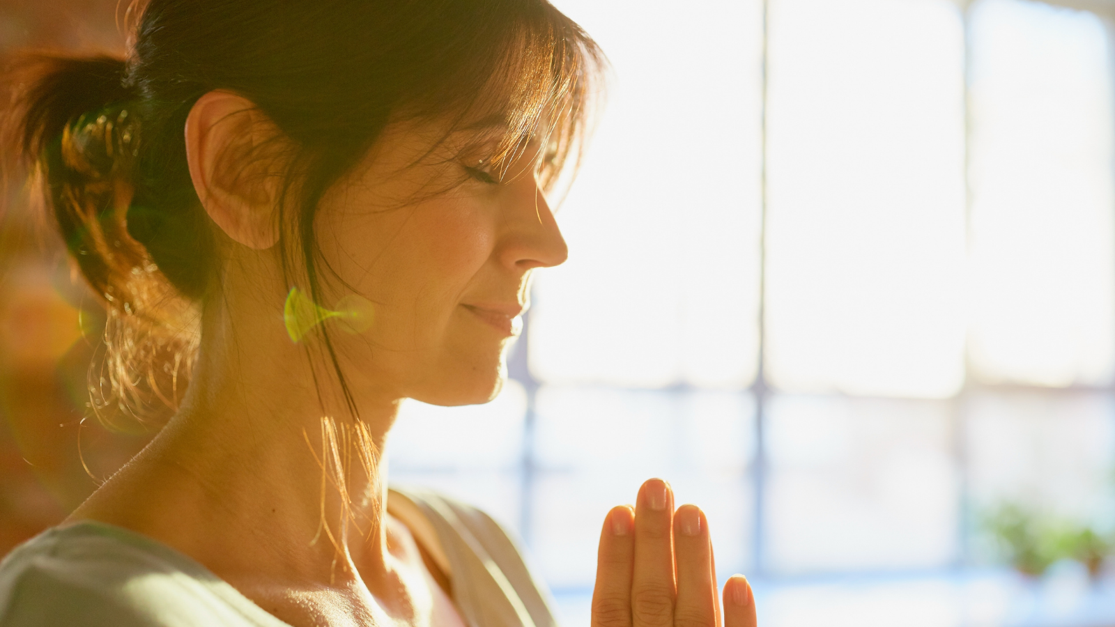 Image depicting Anjali Mudra, the mudra of gratitude