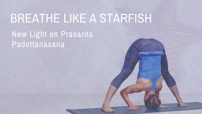 Wide-Legged Forward Bend: Prasarita Padottanasana