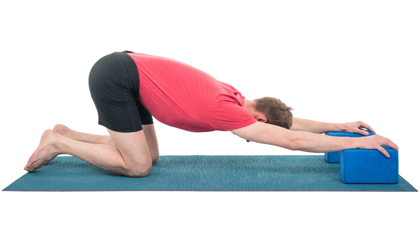 Extended Puppy Pose (Uttana Shishosana) yoga with hands on blocks