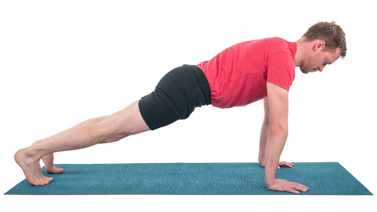 Plank Pose (Phalakasana)