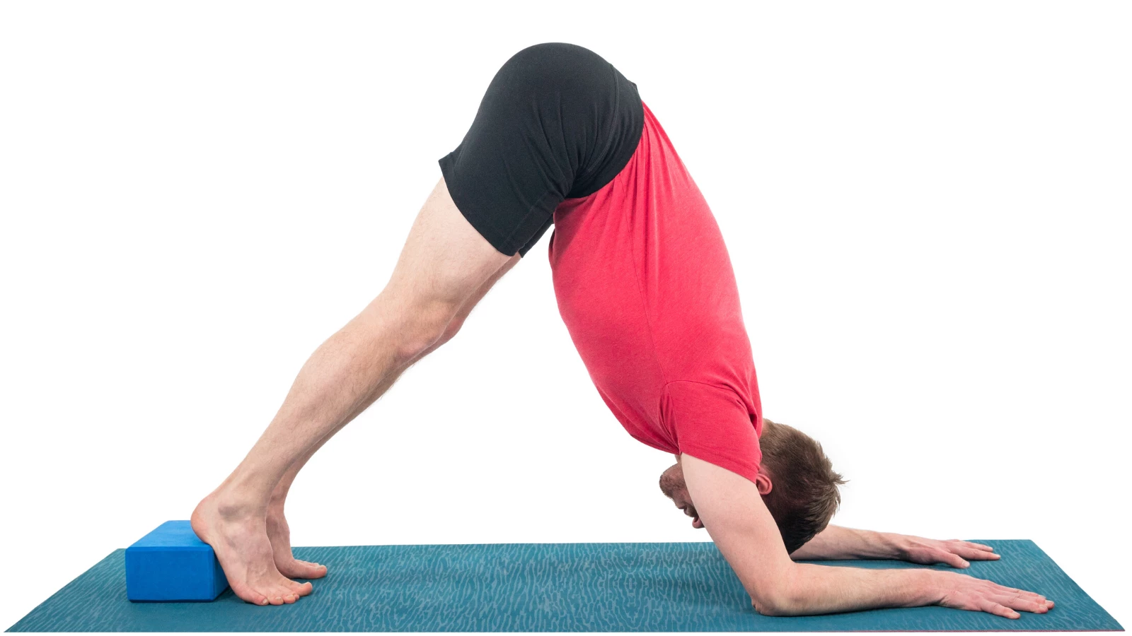 Dolphin Pose (Ardha Pincha Mayurasana) with blocks under heels