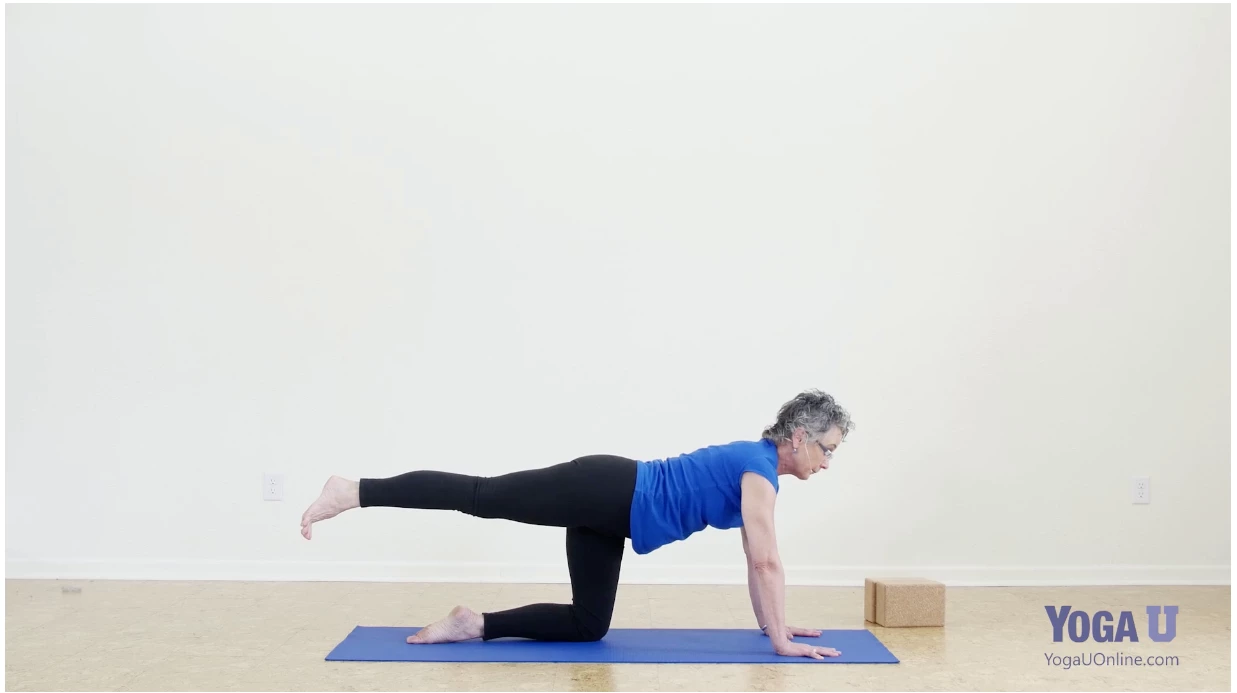  Practicing leg extension in Yoga's Bird Dog Pose to explore the glutes' role in backbends