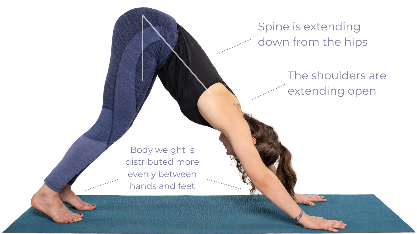 Downward Dog with improved weight distribution and good shoulder and spine alignment