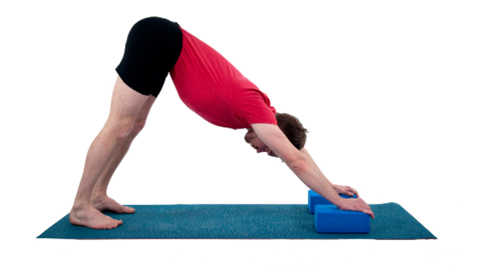 Downward Dog with yoga blocks