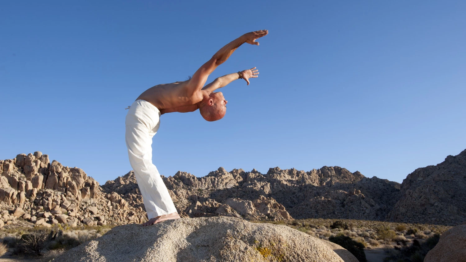 Short Yoga Breaks Can Boost Your Strength and Vitality - YogaUOnline