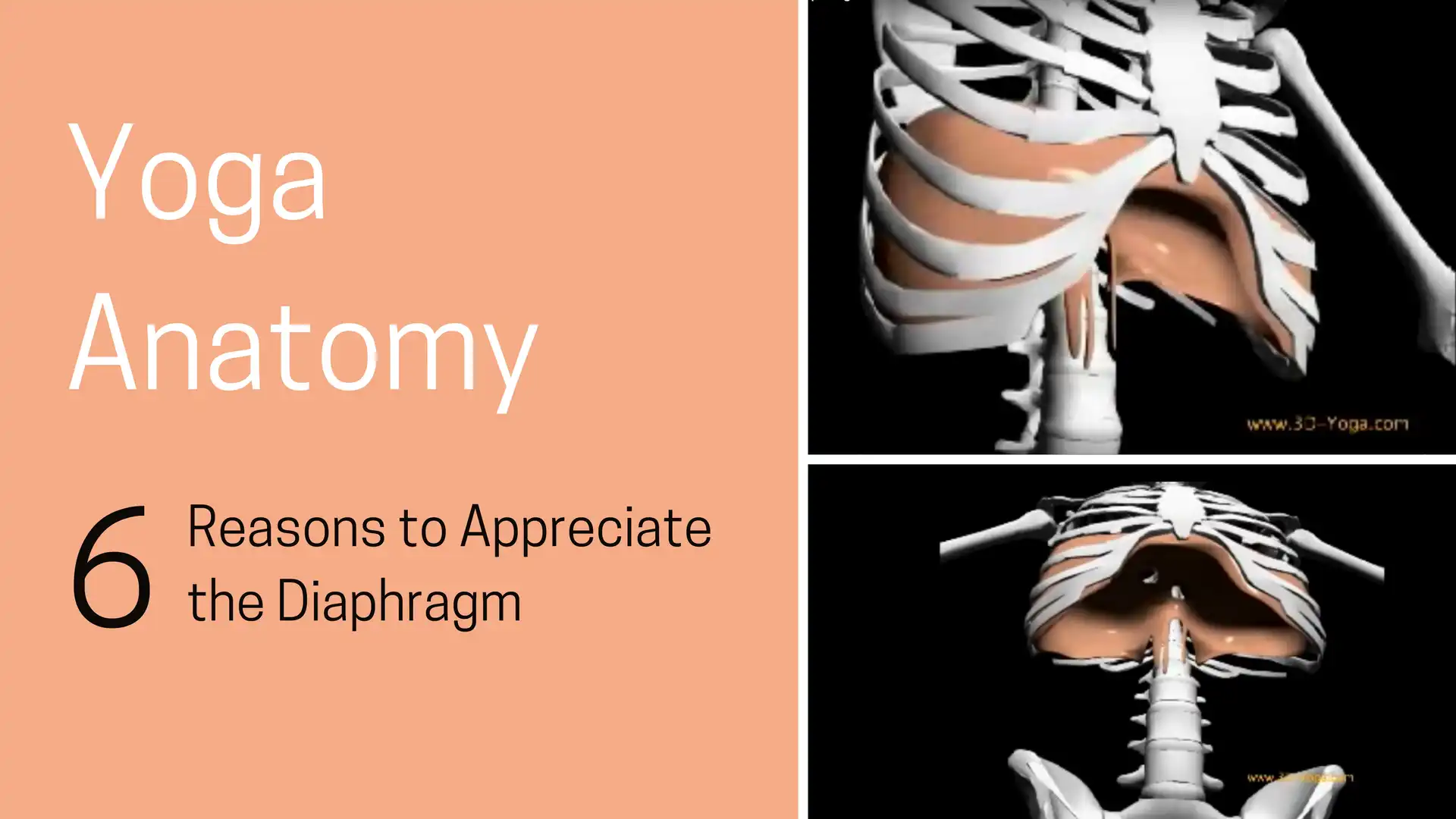 Yoga Anatomy: Expand Your Practice By Learning About the Human Body - YOGA  PRACTICE