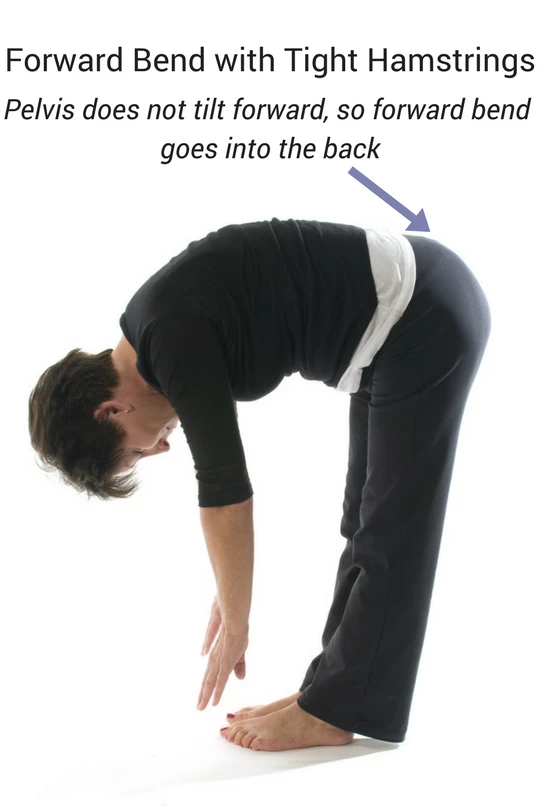 Ease Low Back Pain: A Simple Traction Technique with a Yoga Strap -  YogaUOnline