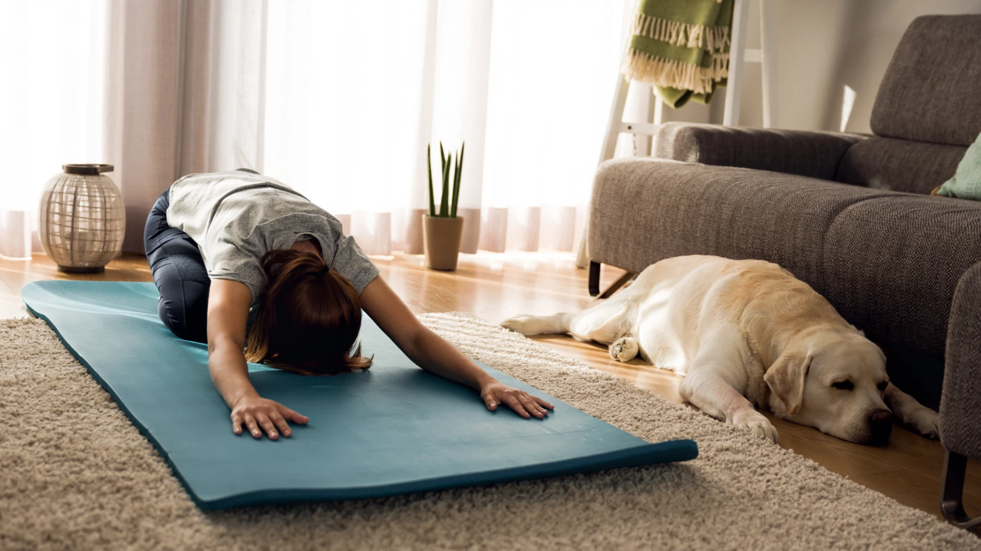 Woman practicing yoga child's pose at home with her dog. 