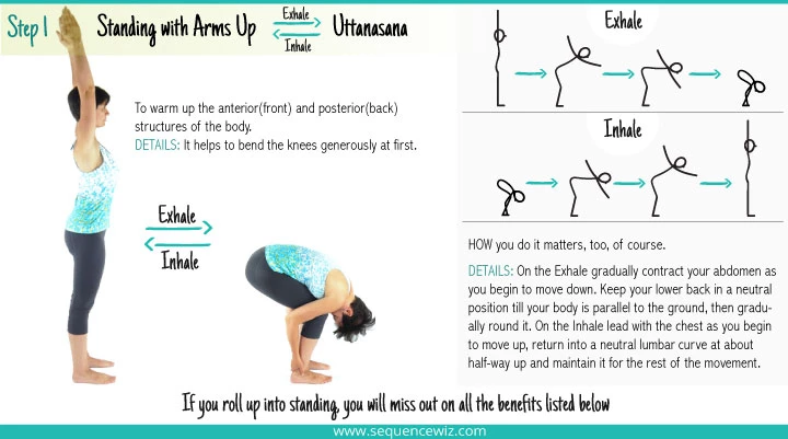 A woman in Uttanasana yoga Pose, showing step 1: how to move in and out of the pose to warm up the body 