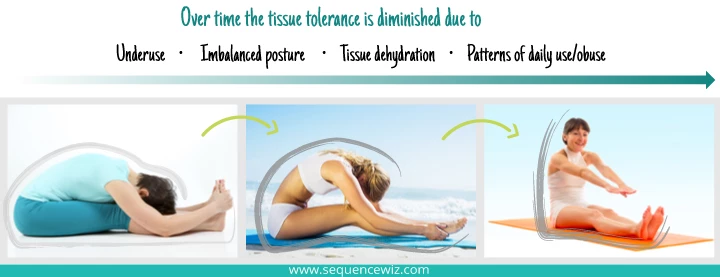 Picture showing how the tissue tolerance for forward bends can diminish over time