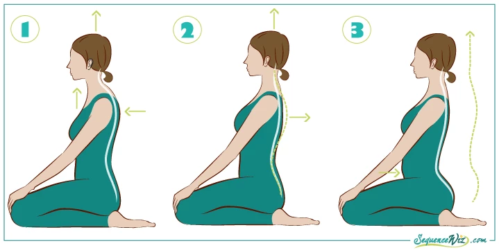 Illustration of ways to improve posture for people with the three different types of posture improved by axial extension postures for the spine 