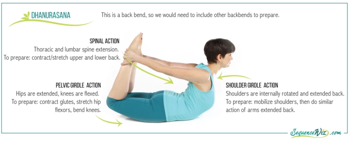 Healthy Backbending: How to Organize Backbends in a Yoga Sequence