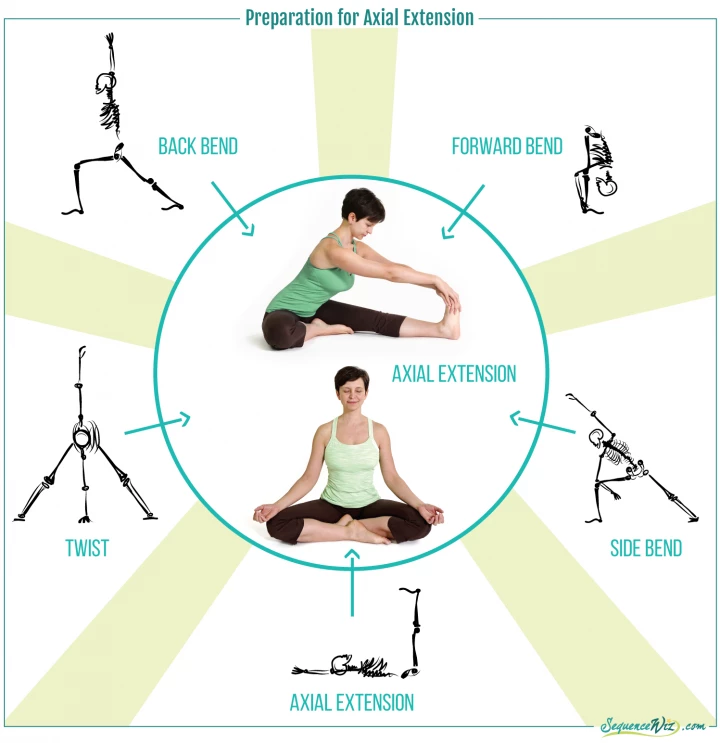 Yoga Poses For Spine Alignment