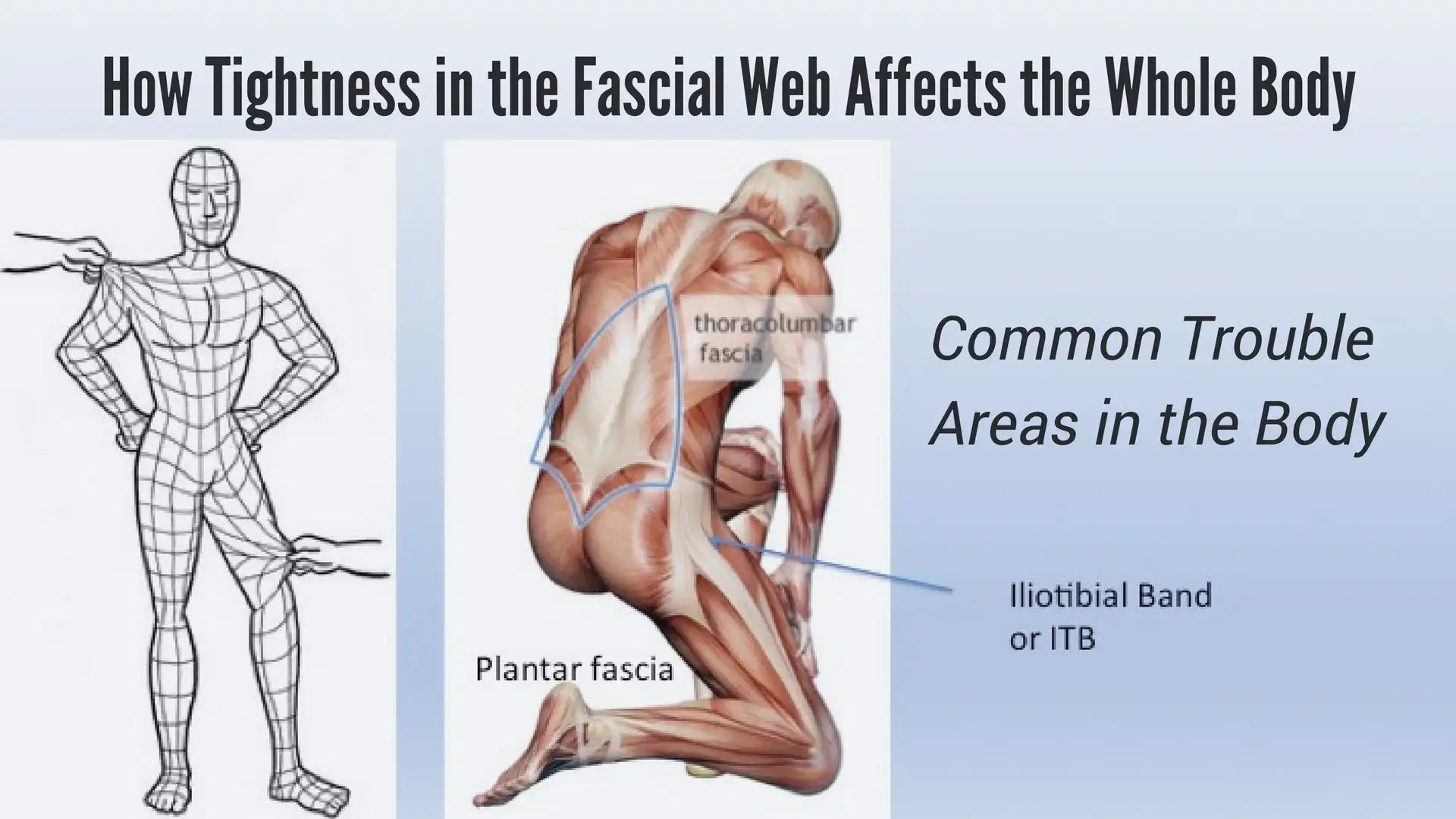 How soft tissue release works – Human Kinetics