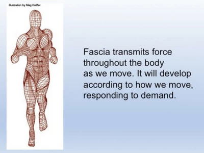 fascia 