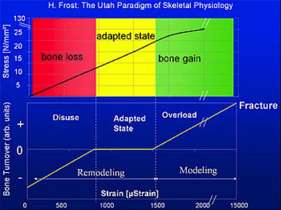 Yoga for bone loss