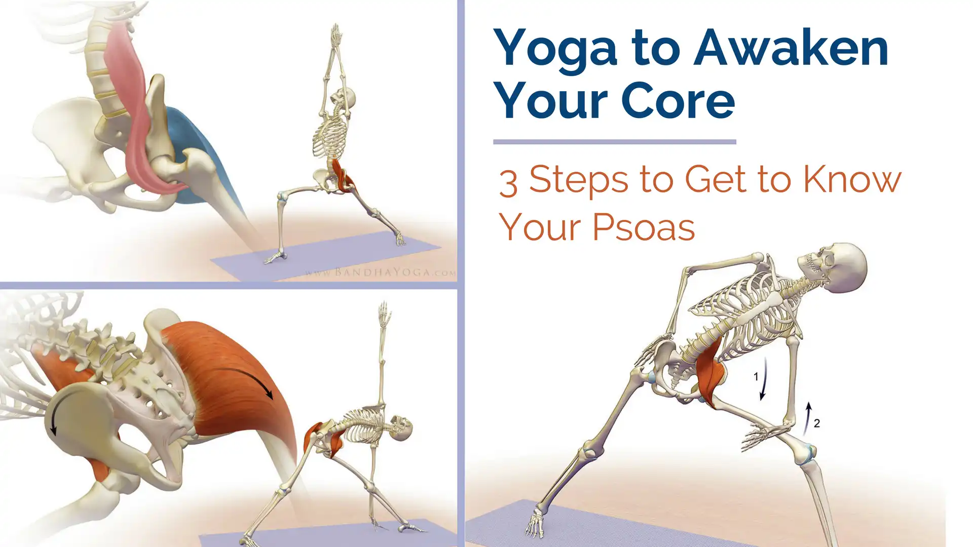 Yoga to Awaken Your Core: 3 Steps to Get to Know Your Psoas