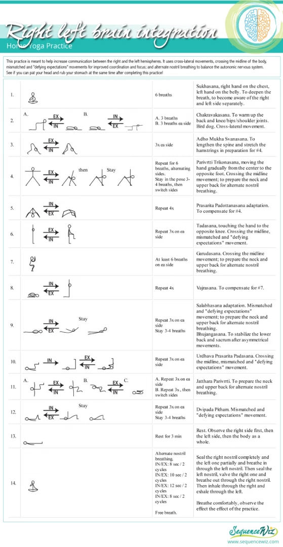 Dual roles of your diaphragm and why they are essential in your yoga  practice - Sequence Wiz