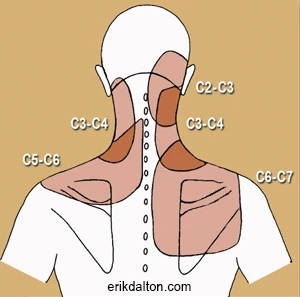 Head and Neck Movements