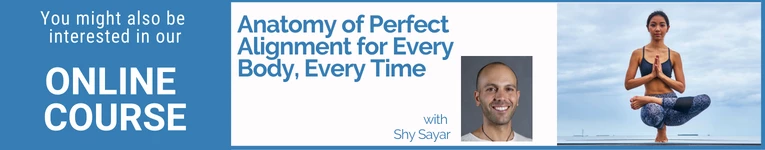 Shy Sayar Online Yoga Course