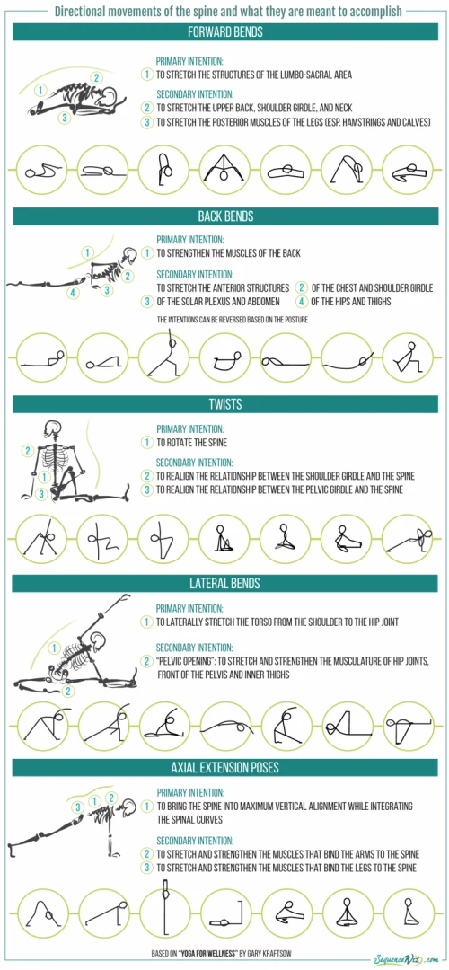 Yoga and Influence of Symmetry on the Spine - Yoganama