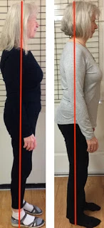 Eve Johnson, spinal alignment, spinefulness, posture improvement, yoga and posture awareness