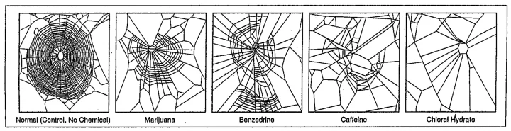 Spider webs, normal spider webs, deformed webs, spiders on too much caffeine, negative effect of caffeine on spiders people and sleep