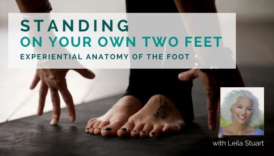 Leila Stuart, writer, yoga teacher, experiential anatomy, experiential anatomy of the foot