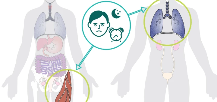 Restless leg syndrome, Prana Vayu, Neurological functioning, head, heart, and lungs functioning, Physiological sleep issue