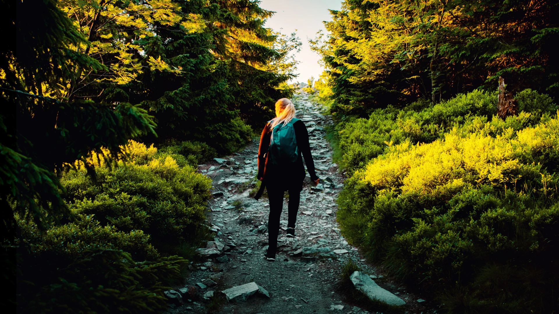 woman walking along a path in nature-- walking in nature is a great way to maximize your exercise benefits.