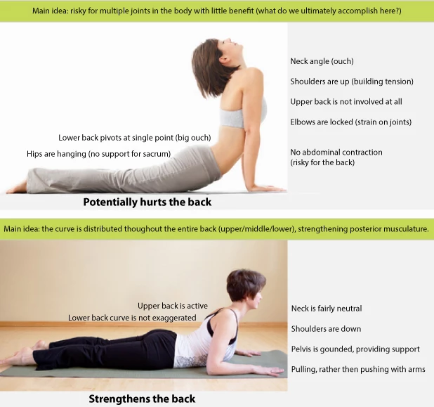 Cobra Pose, Bhujangasana, strengthens upper and lower back, strengthens glutes and hamstrings, yoga practice tips, alignment