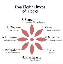 eight limbs of yoga, yamas, niyamas, yoga for a balanced lifestyle, yoga for improved immunity