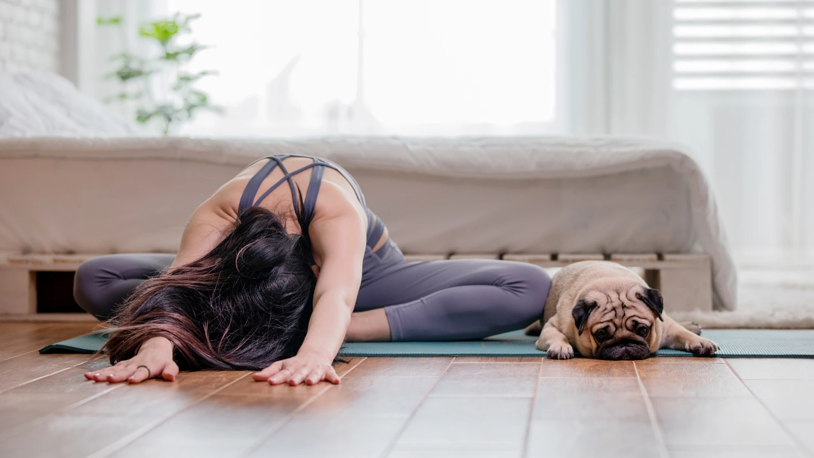 female yoga student practicing yoga with her dog at home