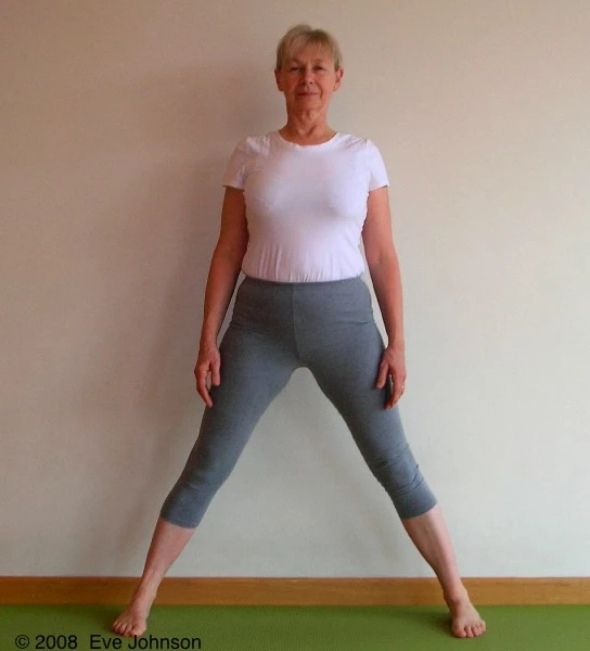 Parivritta Trikonasana, Revolved Triangle Pose, Pose Variations, Practice at the wall