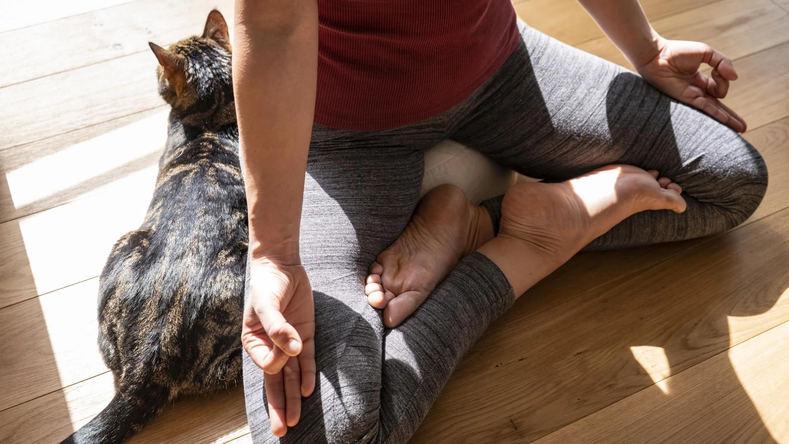 beginner yoga student learns how to practice meditation and enjoys the benefits of meditation at home