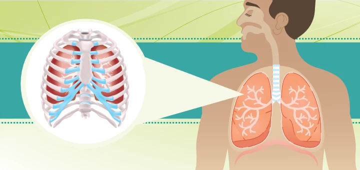 Lungs, breath capacity, breath retention, how-to increase lung capacity