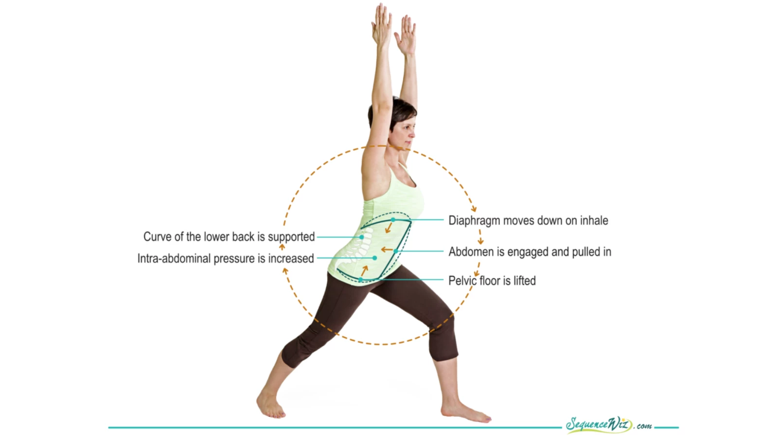 The benefits of practicing yoga for diaphragm health in Warrior II Pose