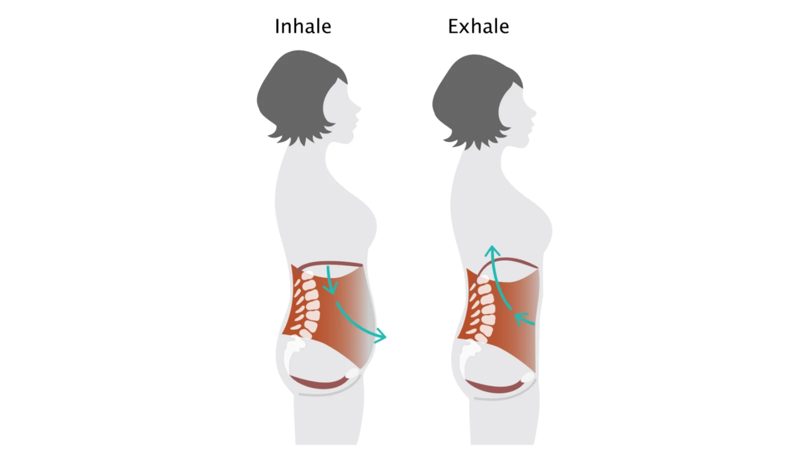 Yoga student demonstrating what's happening in the diaphragm on an inhale and exhale