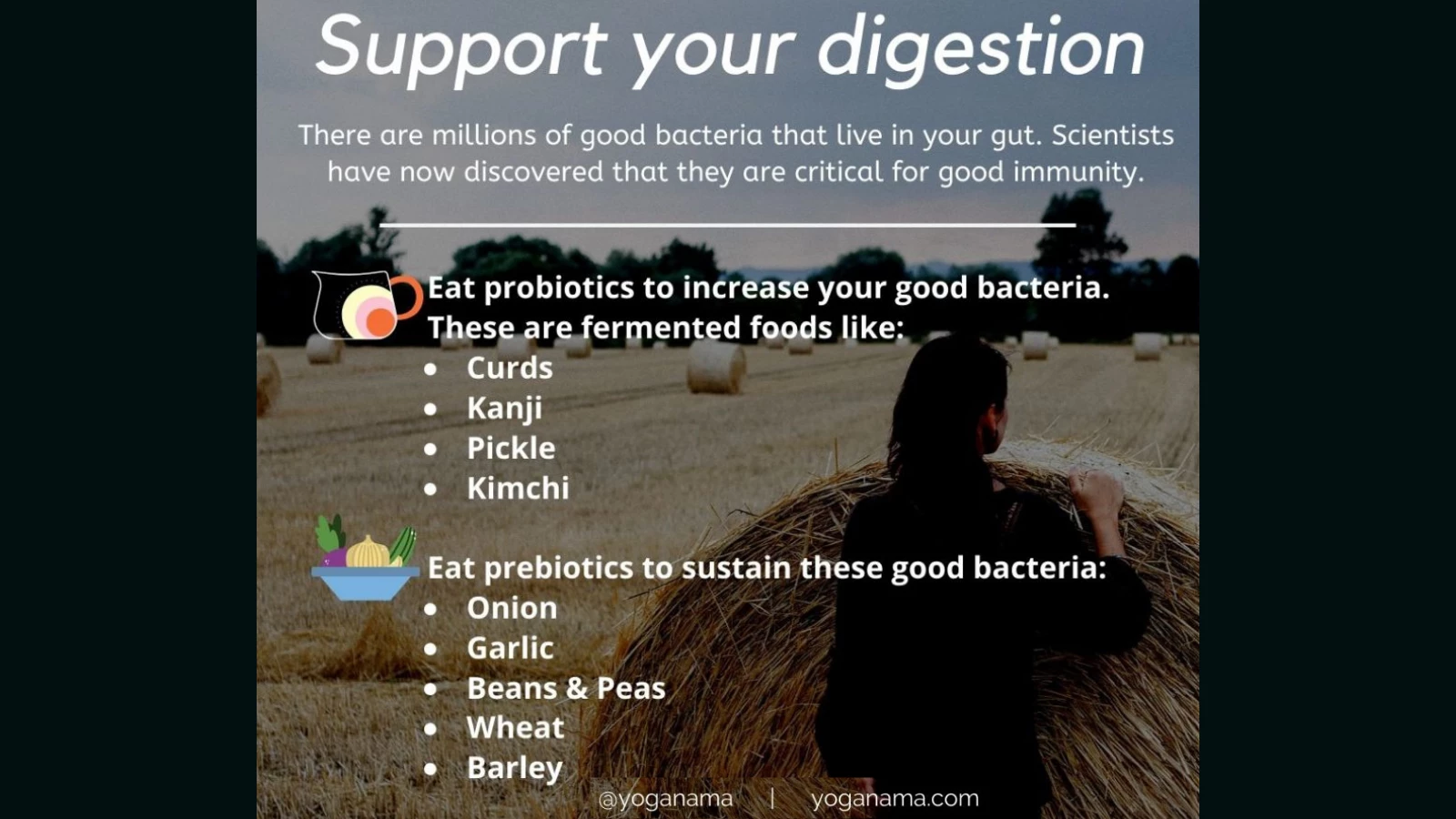 The benefits of maintaining healthy gut bacteria to support immunity