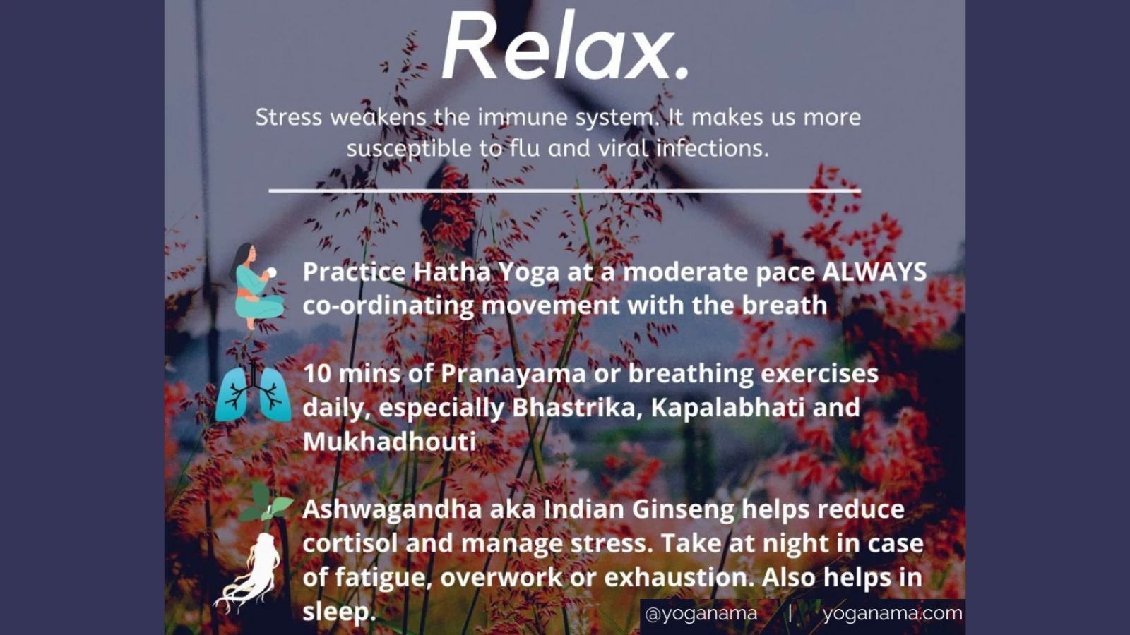 Tips for boosting immunity by minimizing stress and relaxing