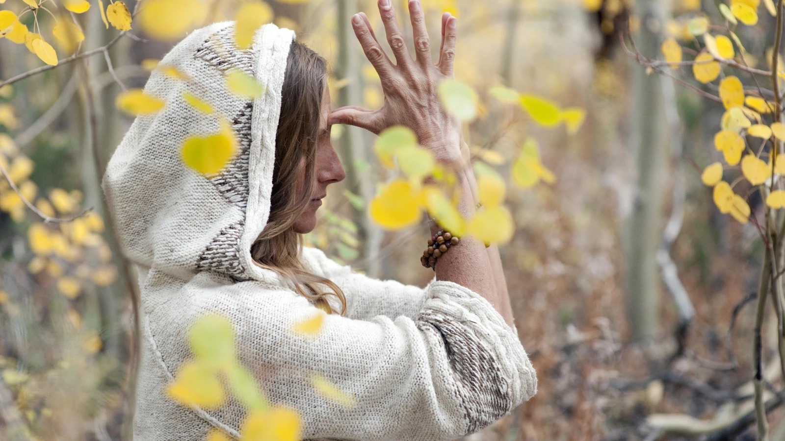 How to practice Thanksgiving gratitude according to yoga philosophy by bowing to all your gurus