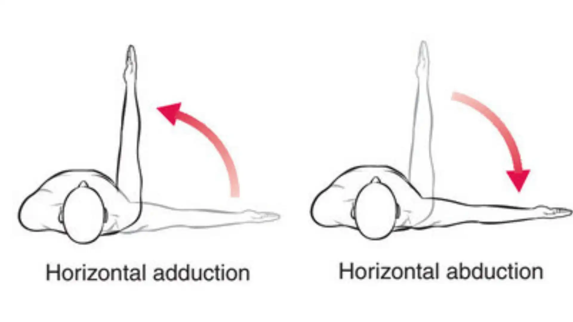 abduction_and_adduction_of_the_legs