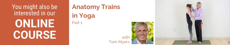 Tom Myers, YogaUOnline presenter, wellness, Anatomy Trains 