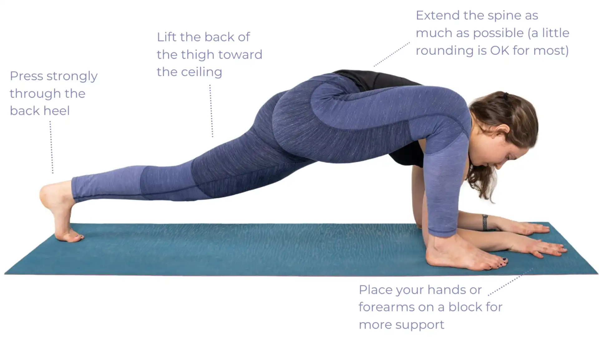 Lizard Pose - Yoga 15