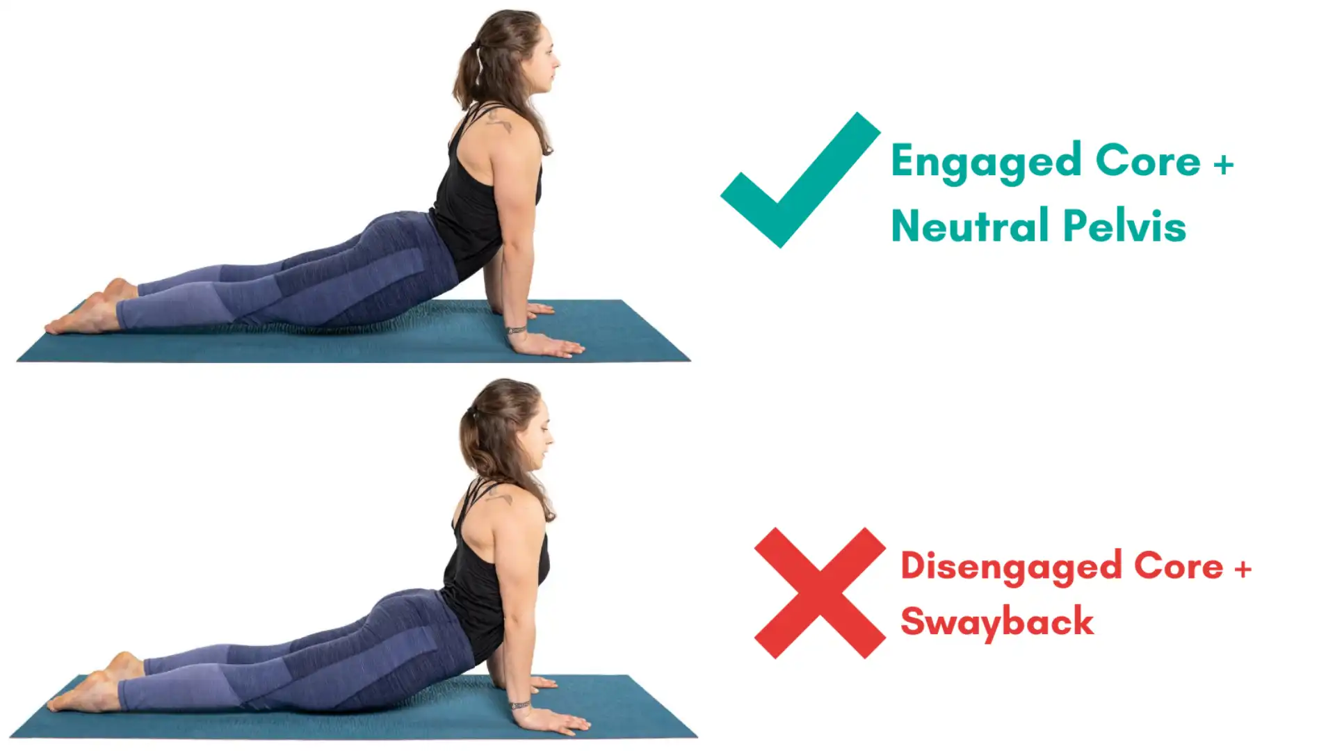 Plank, Chaturanga, and Upward Facing Dog - THEYOGIMATT