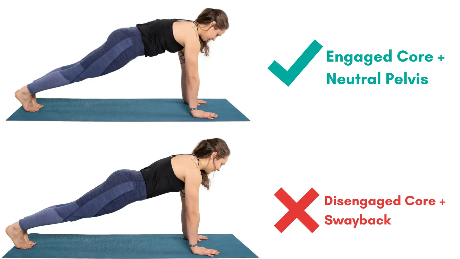 Safely Transition from Plank to Chaturanga: Yoga teaching tips to flow through the transition from Plank Pose to Chaturanga with a neutral pelvis and engaged core