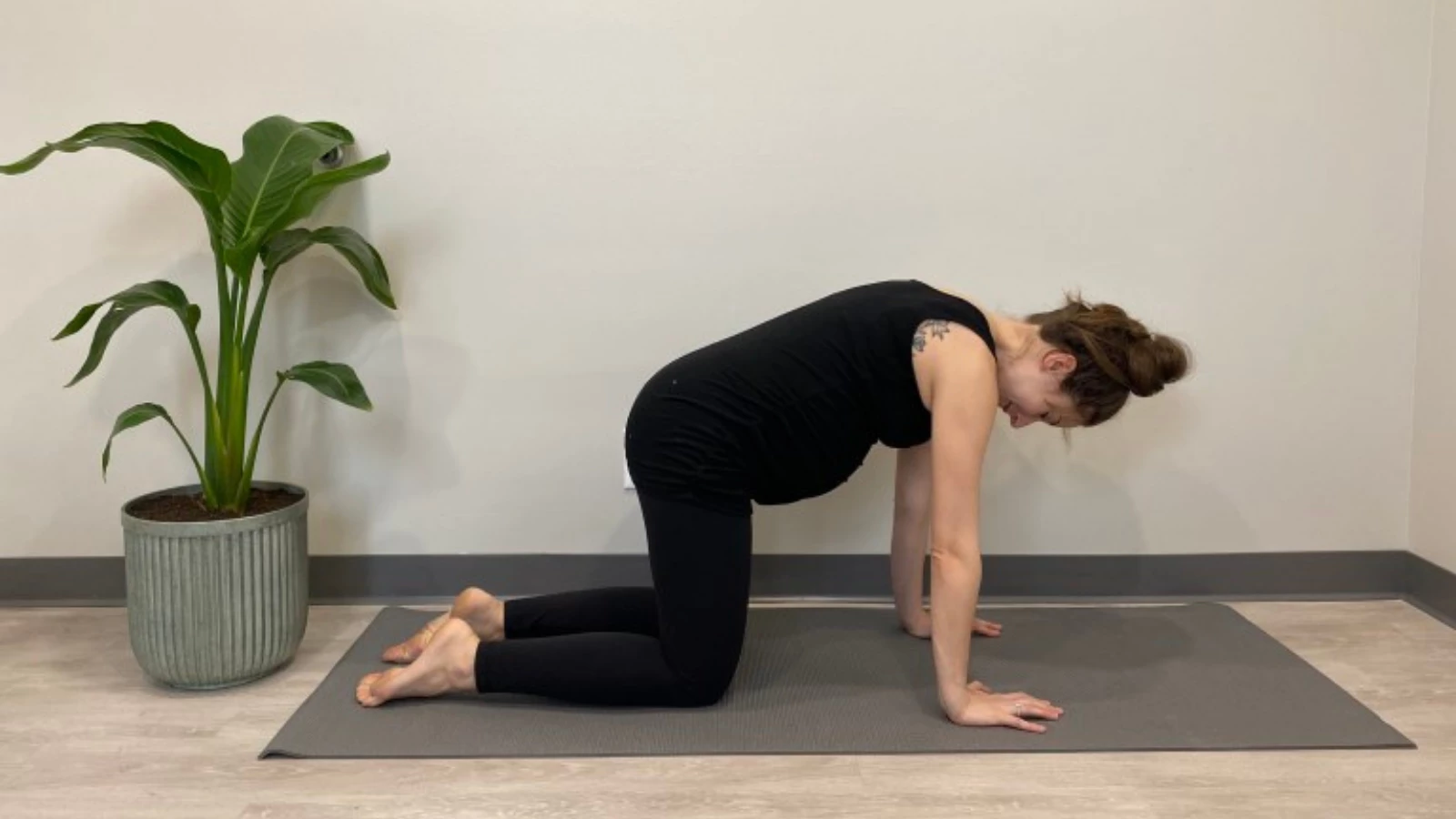 Yoga teaching tips for pregnant students to practice Cat Pose (Marjariasana) for increased spine and pelvis mobility