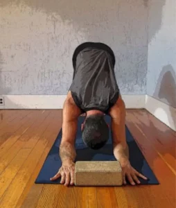 Another image of a forearm version of Downward Facing Dog Pose, this time with the forearms and a block 